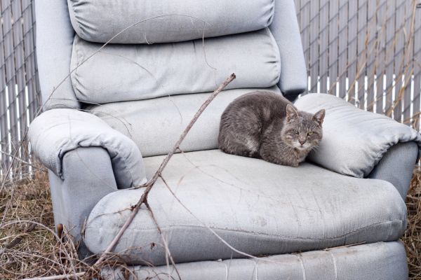 Recliner Disposal in Sioux City
